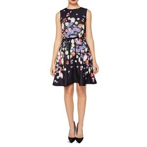 Ted Baker London Black Floral in multicolor - Izobela Kensington Midi Dress
